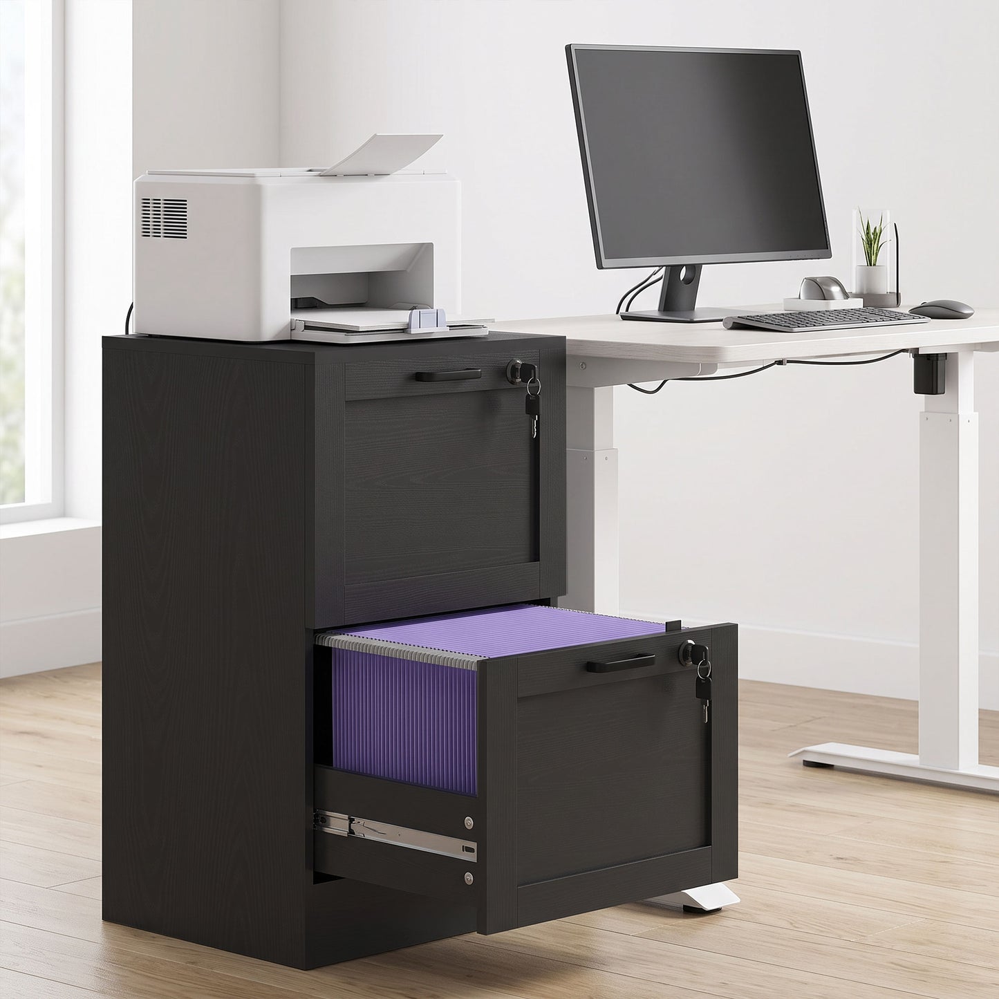 2-Drawer File Cabinet, Lockable Filing Cabinet for A4 Letter, Black