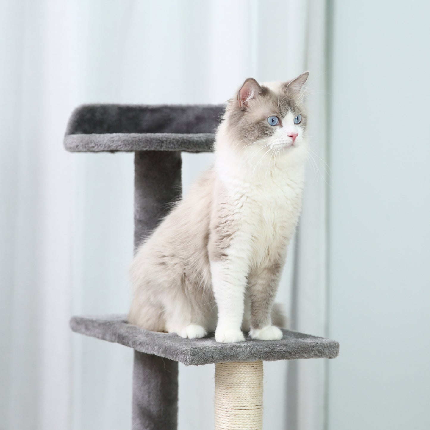 100 cm Cat Tree for Indoor Cats Kitten Scratch Scratching Post Climbing Tower Activity Center Grey
