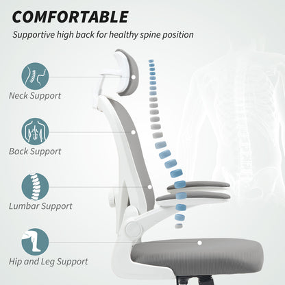Ergonomic Mesh Office Chair with Headrest, Lumbar Support, Grey