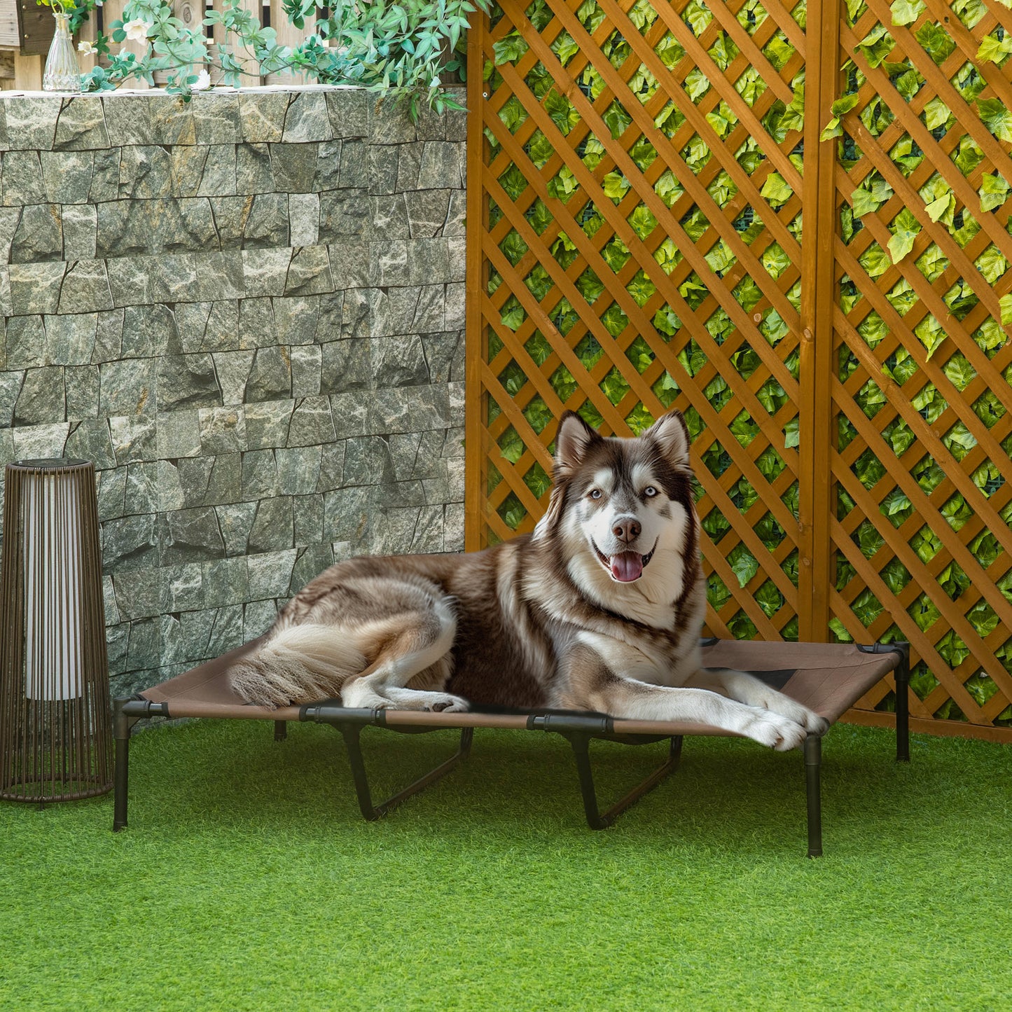 Elevated Dog Bed Cooling Raised Pet Cot for Indoor Outdoor Use, XX Large