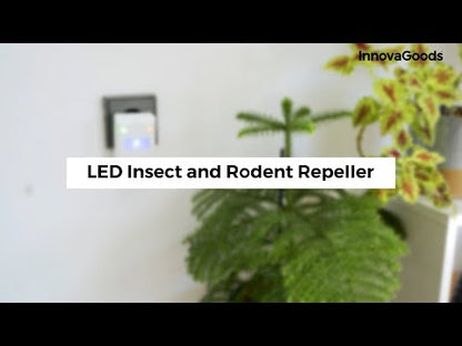 LED Insect and Rodent Repellent Killekt InnovaGoods