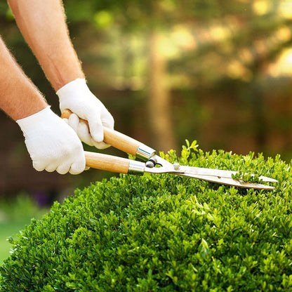Get Your Garden Summer-Ready and Transform Your Outdoor Space with Gardening Solutions Jersey - Choose from 1.5-hour or 3-hour Sessions Tailored To Your Needs! Starting from Just £57.50