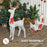 Light Up Reindeer & Sleigh Christmas Decoration w/ 170 LED Lights