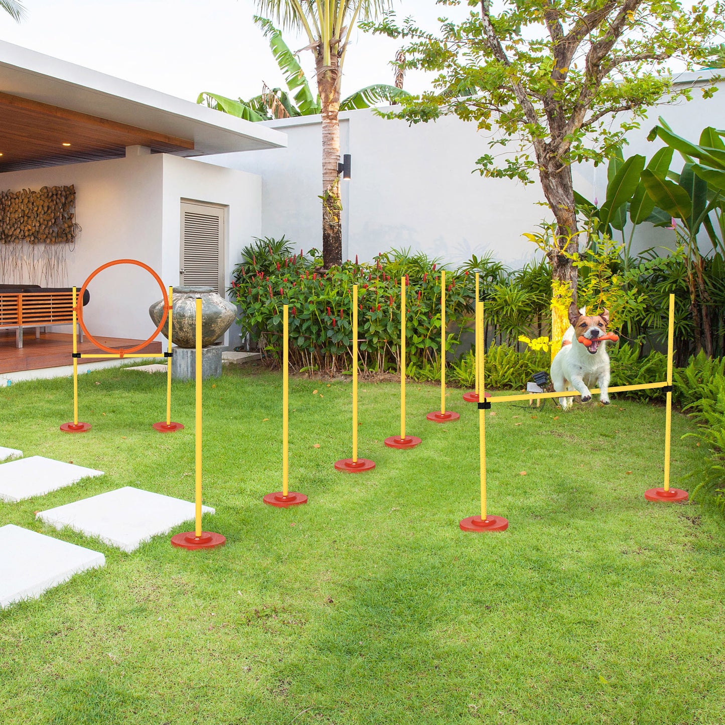 Outdoor 3 PC Dog Pet Agility Training Garden Starter Obstacle Set for Dog