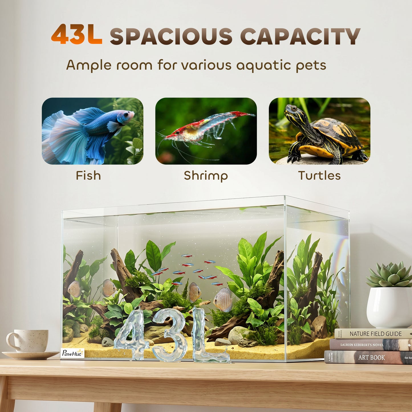 43L Fish Tank, Glass Aquarium, Small Fish Tank with Protective Base Mat, for Shrimps, Turtles, Transparent, 50 x 30 x 30 cm