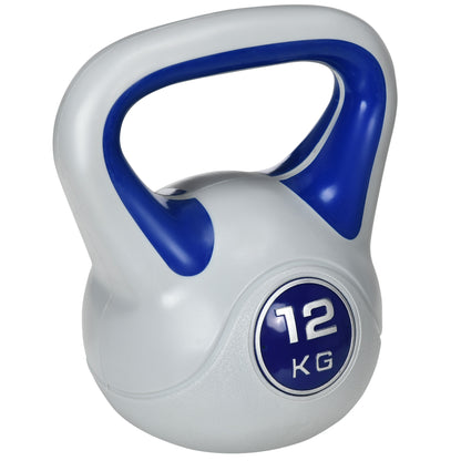 12kg Kettle Bell with Handle for Home Gym, Dark Blue and Grey