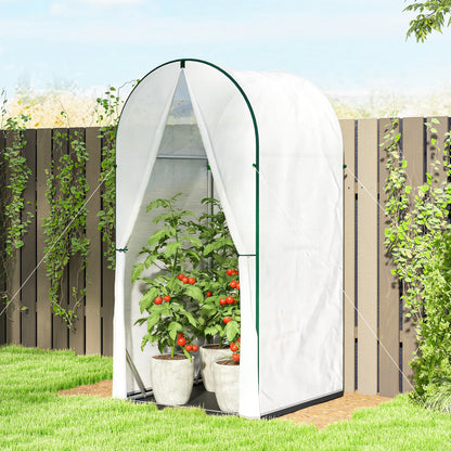 Mini Greenhouse, Small Greenhouse with PE Base, White