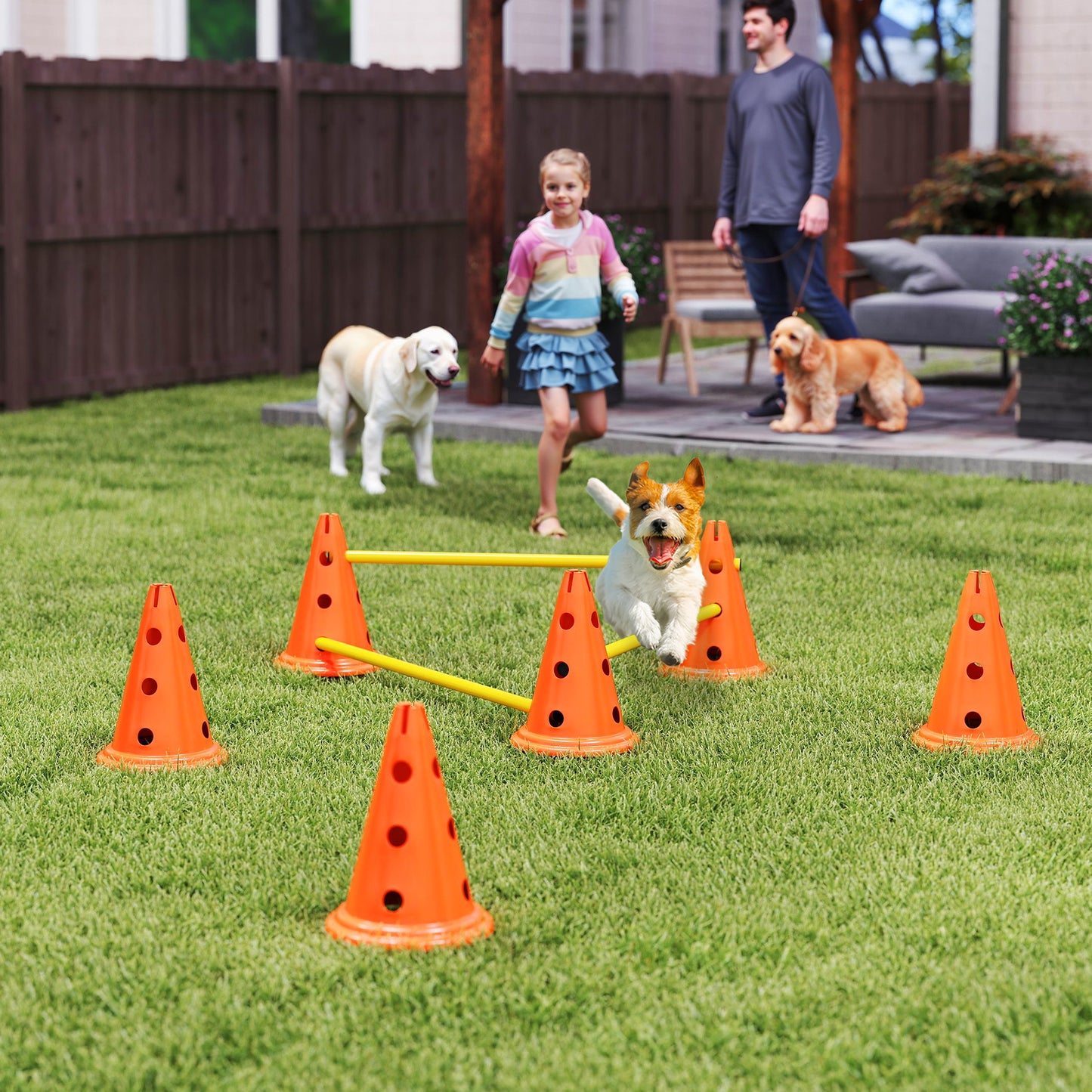 PawHut Dog Agility Equipment Set, 3 PCS Adjustable Height Jumping Obstacles