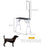 Folding Pet Grooming Table for Small Dogs with Adjustable Grooming Arm Max Load 30 KG, 81x48.5x80 cm