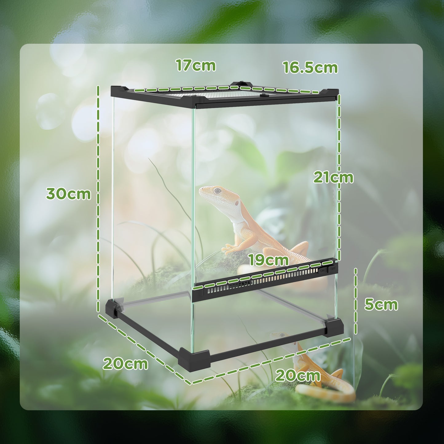 Glass Reptile Terrarium, 12L Vivarium for Lizards, Frogs, Snakes, Turtles