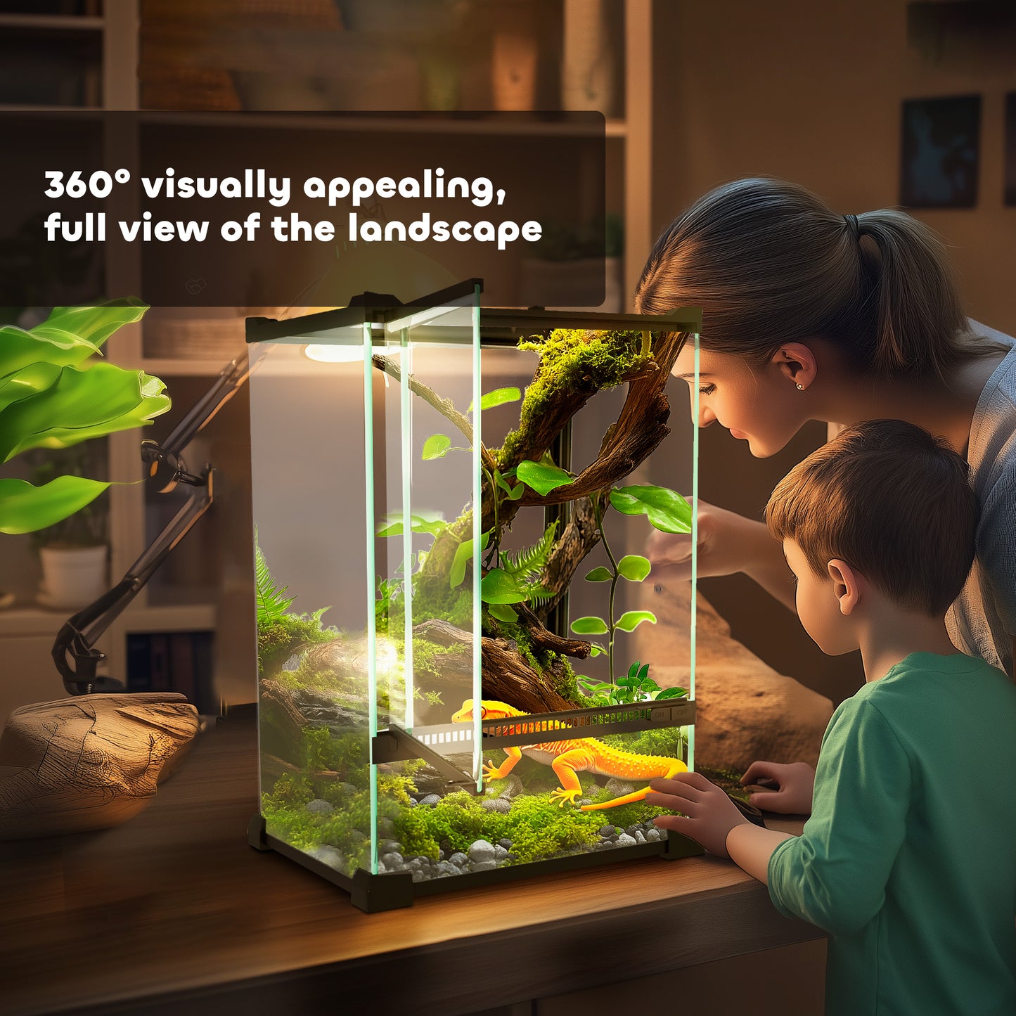 Glass Reptile Terrarium, 12L Vivarium for Lizards, Frogs, Snakes, Turtles