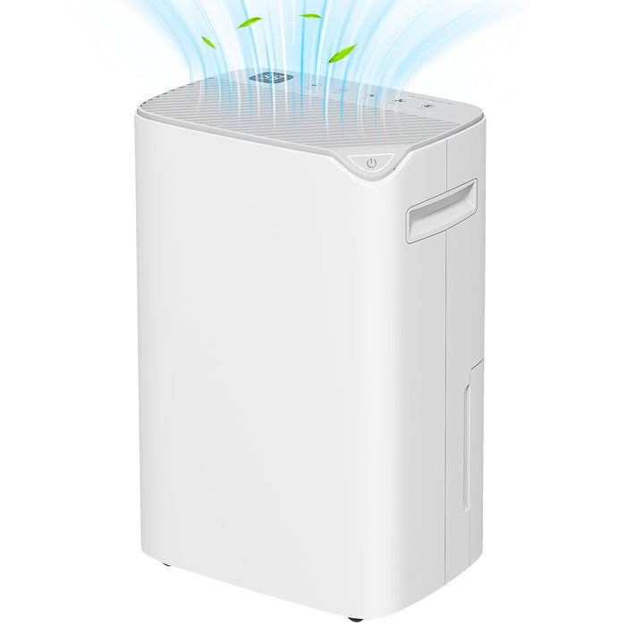 20L/Day Small Dehumidifier for Home Damp Laundry, with 24H Timer