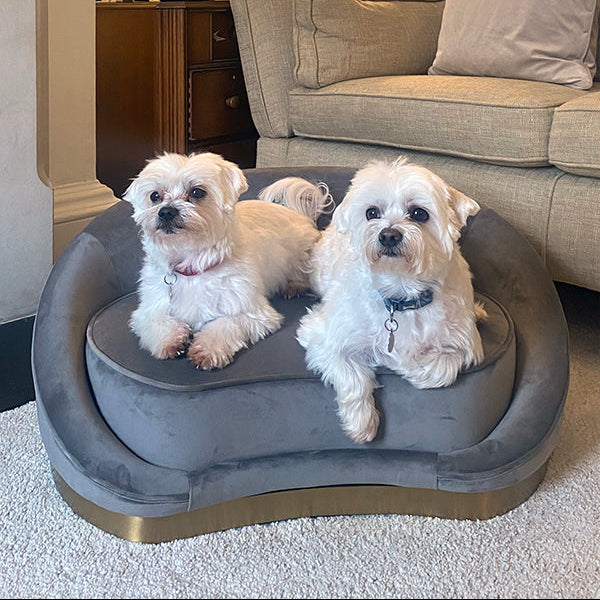 Selini Pet Sofa