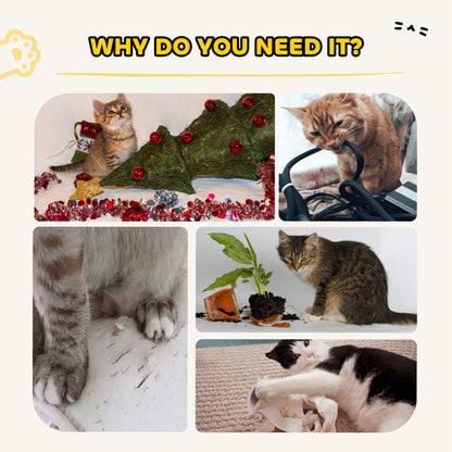 63cm Cat Scratching Post, Scratcher w/ Replaceable Scratching Board