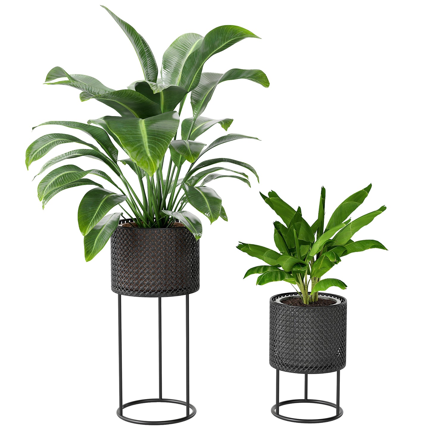 Metal Plant Pots Flower Planters Set of 2 for Indoor Outdoor Black