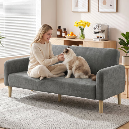 2 Seater Sofa, Velvet Small Couch with Plush Backrest, Grey