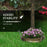 81cm Tall Bird Bath with 2 Decorative Birds for Garden, Bronze Tone