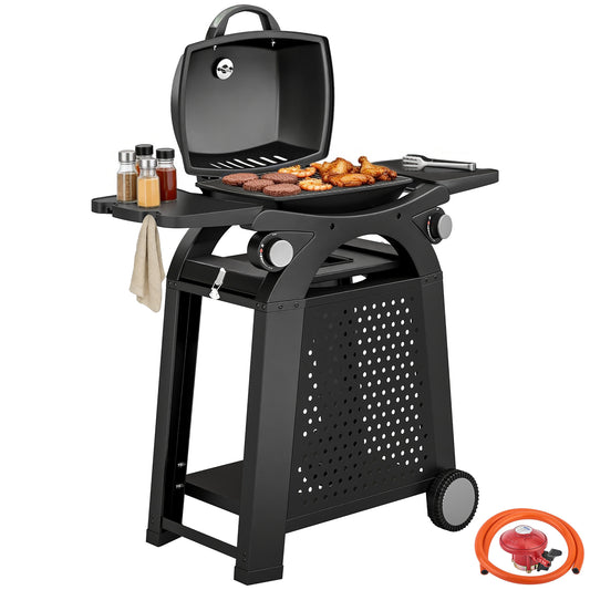 2 Burner Gas Grill, 3.8 KW Barbecue Grill with Cast Iron Grates