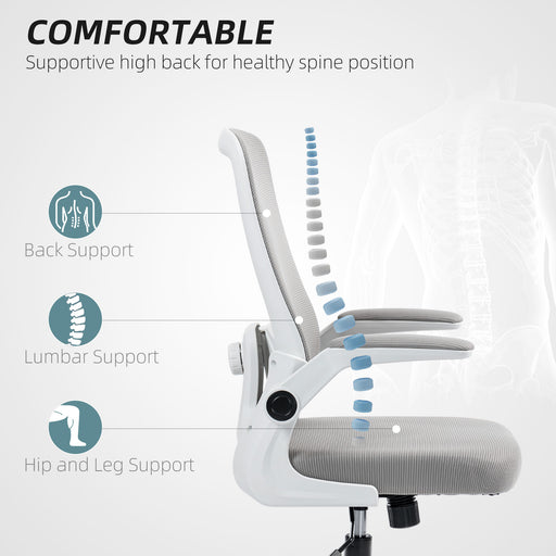 Mesh Desk Chair with Tilt Function, Lumbar Support, Grey