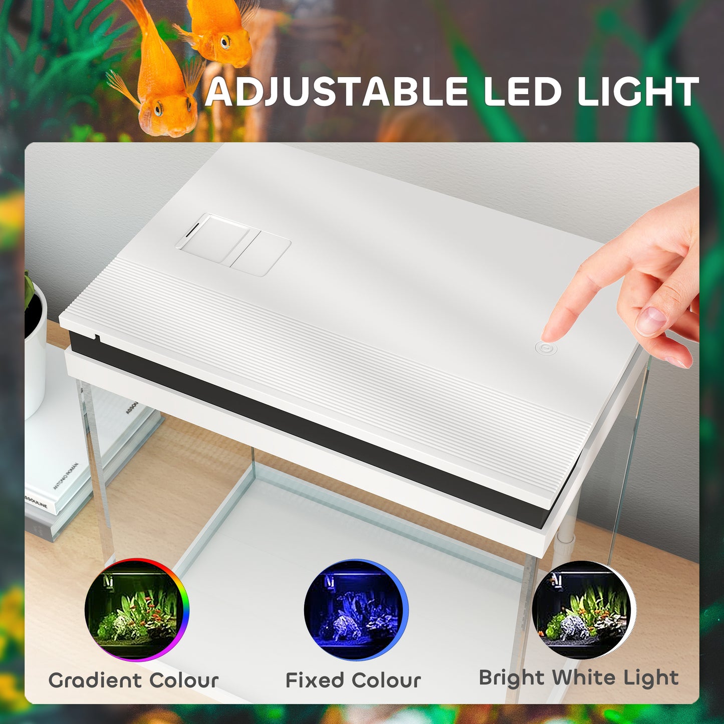 Fish Tank, 14L Glass Aquarium with Filter System, LED Lights, Water Pump, Small Fish Tank for Betta Fish, Goldfish, Shrimps, White