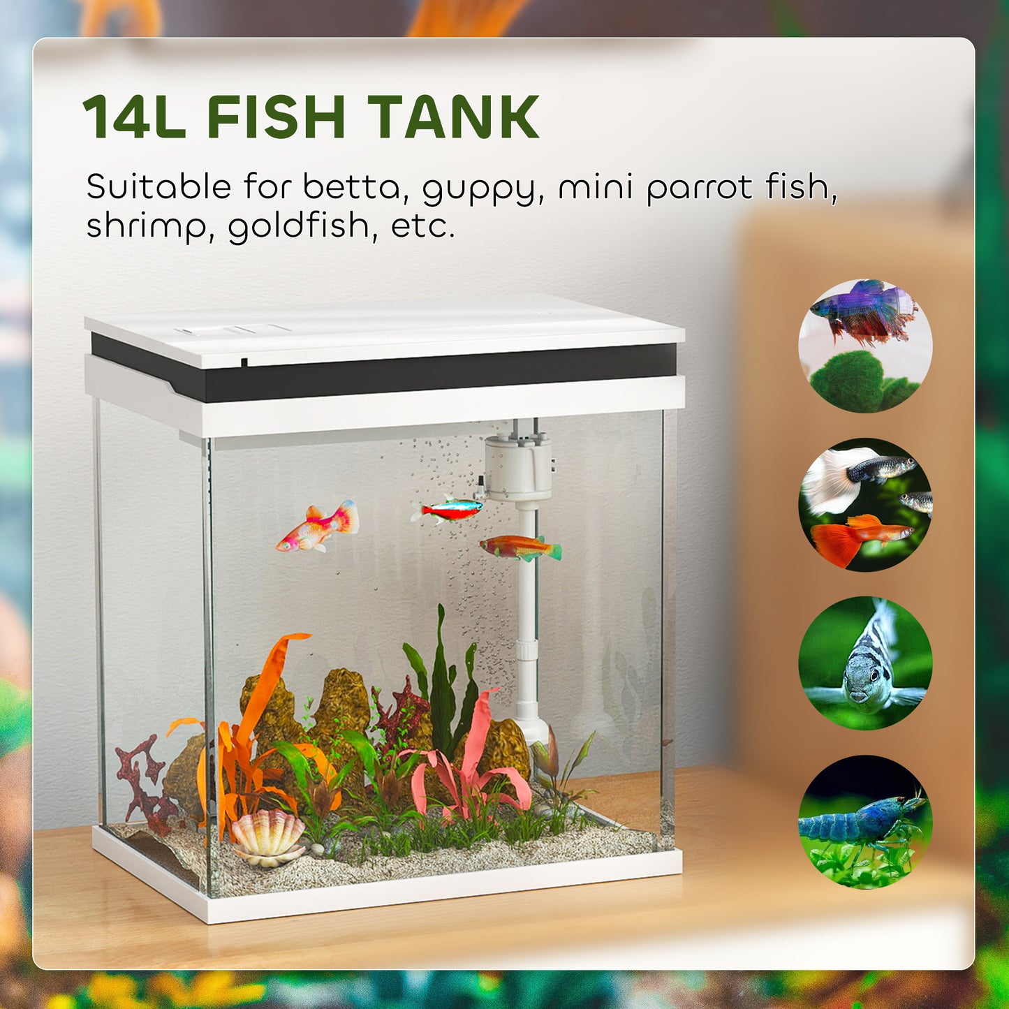 Fish Tank, 14L Glass Aquarium with Filter System, LED Lights, Water Pump, Small Fish Tank for Betta Fish, Goldfish, Shrimps, White
