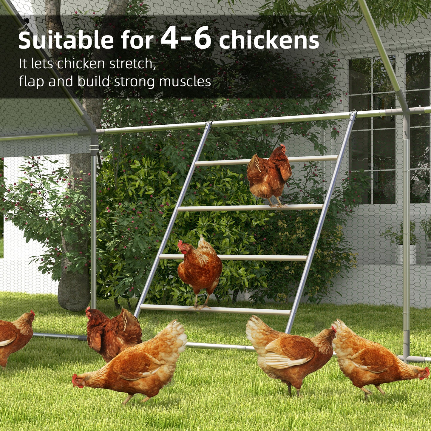 Chicken Perch for Coop, Jungle Gym Roosting Bar for Backyard Farm