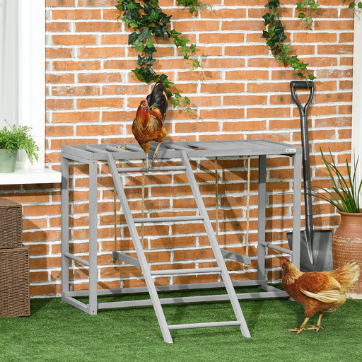 Chicken Activity Play with Swing Set for 3-4 Birds, Wooden Chicken Coop, Grey