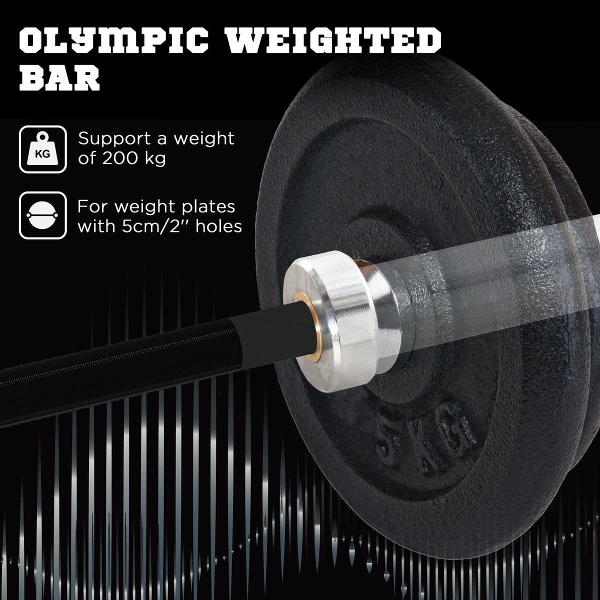 5cm Weight Lifting Bar, Barbell Bar with Spring Clips, 210cm, 19kg
