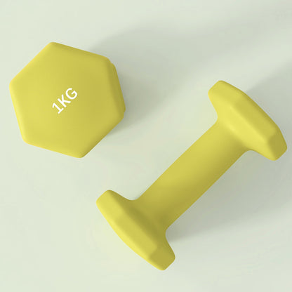 1kg Hexagonal Dumbbells (Set of 2) - Yellow