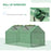 Mini Greenhouse, Small Plant Grow House for Outdoor with Durable PE Cover, Observation Windows, 119 x 60 x 60 cm, Green