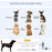 51cm Foldable Pet Carrier, Dog Cage, Portable Cat Carrier, Cat Bag, Pet Travel Bag with Cushion for Miniature Dogs, Grey