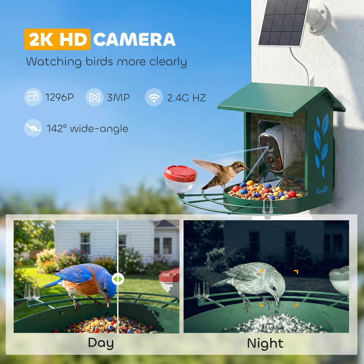 Smart Bird Feeder Camera with AI Identifies 16,000+ Bird Species