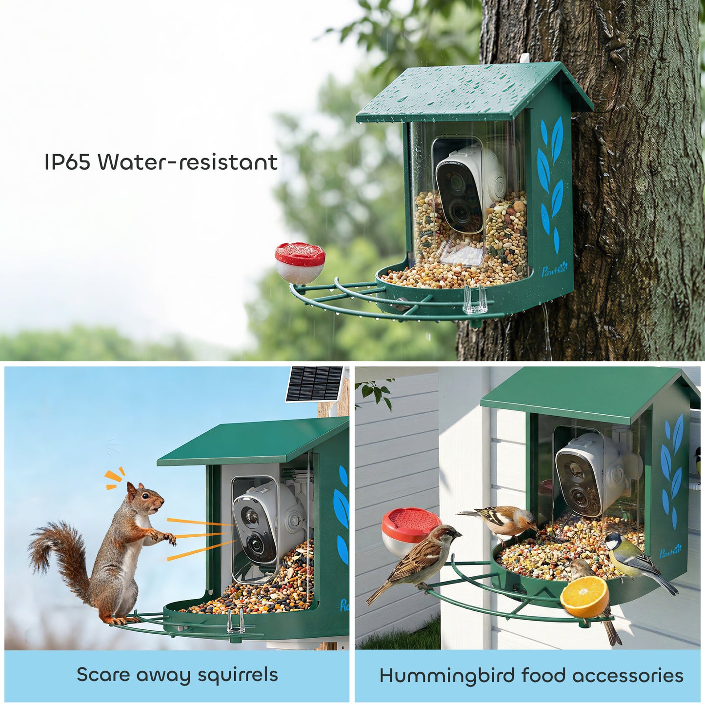 Smart Bird Feeder Camera with AI Identifies 16,000+ Bird Species