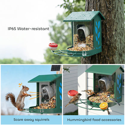 Smart Bird Feeder Camera with AI Identifies 16,000+ Bird Species