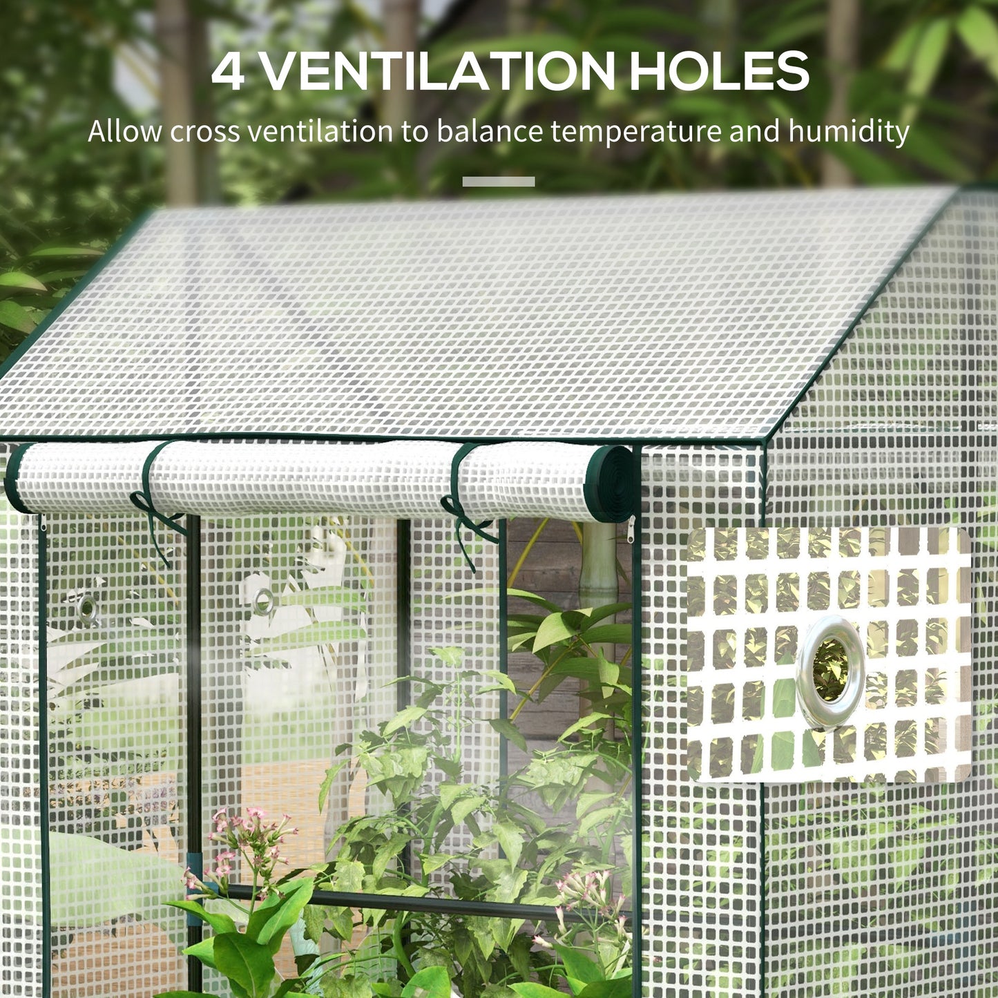 Greenhouse with 2 Roll-up Doors and Vent Holes, 100x80x150cm