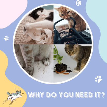 Cat Tunnel, Cat Play Tube for Indoor Kittens, Puppies, Rabbits