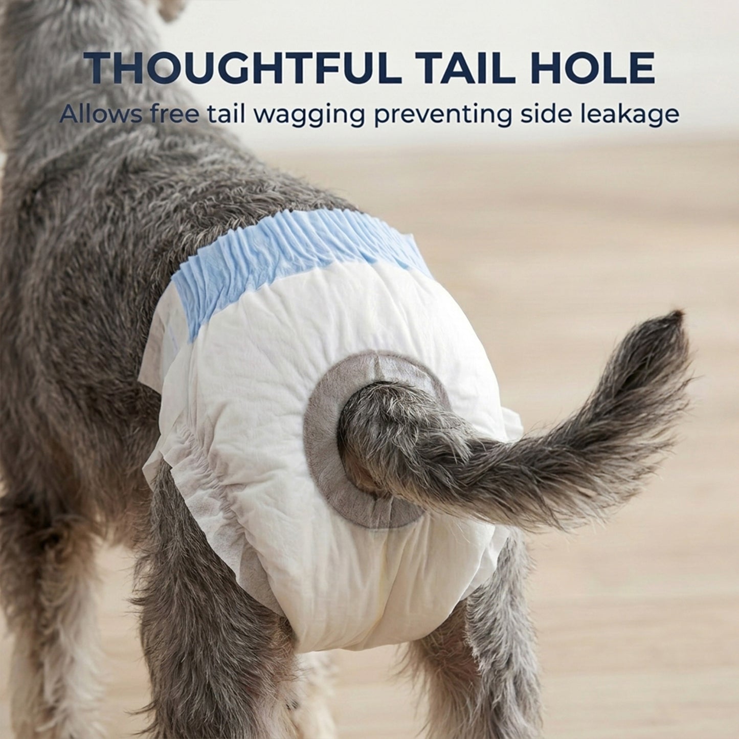 Disposable Dog Diapers Female, 48 Count Absorbent Dog Nappies, Puppy Sanitary Wraps Panties for Incontinence or Excitable Urination and Training, M, 24-41 cm