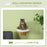 Cat Shelf Wall Mounted Cat Tree with Cushion, Guardrails 34 x 34 x 10.5cm