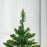 6ft Prelit Christmas Tree Artificial Tree Warm White LED Holiday Home Xmas Decoration, Green