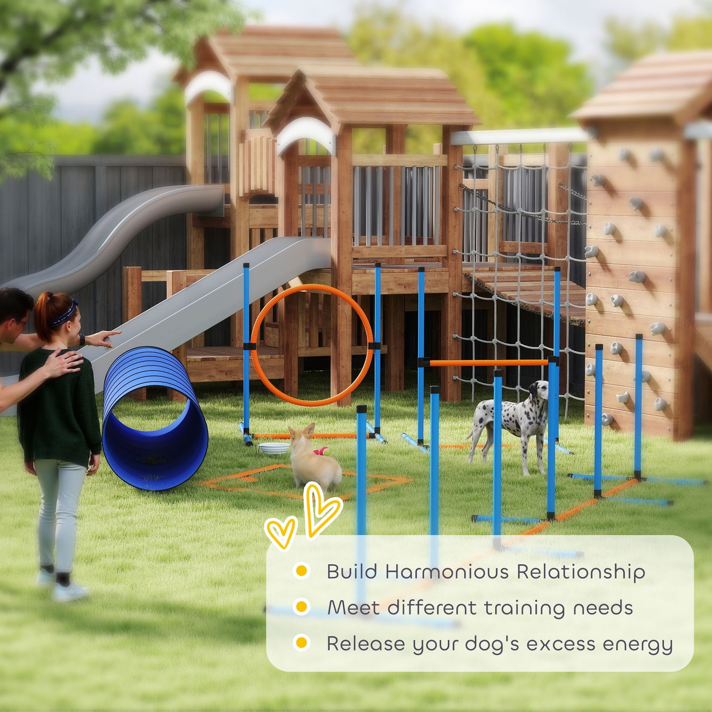 Dog Agility Training Equipment, 8PCS Agility Training Set for Garden