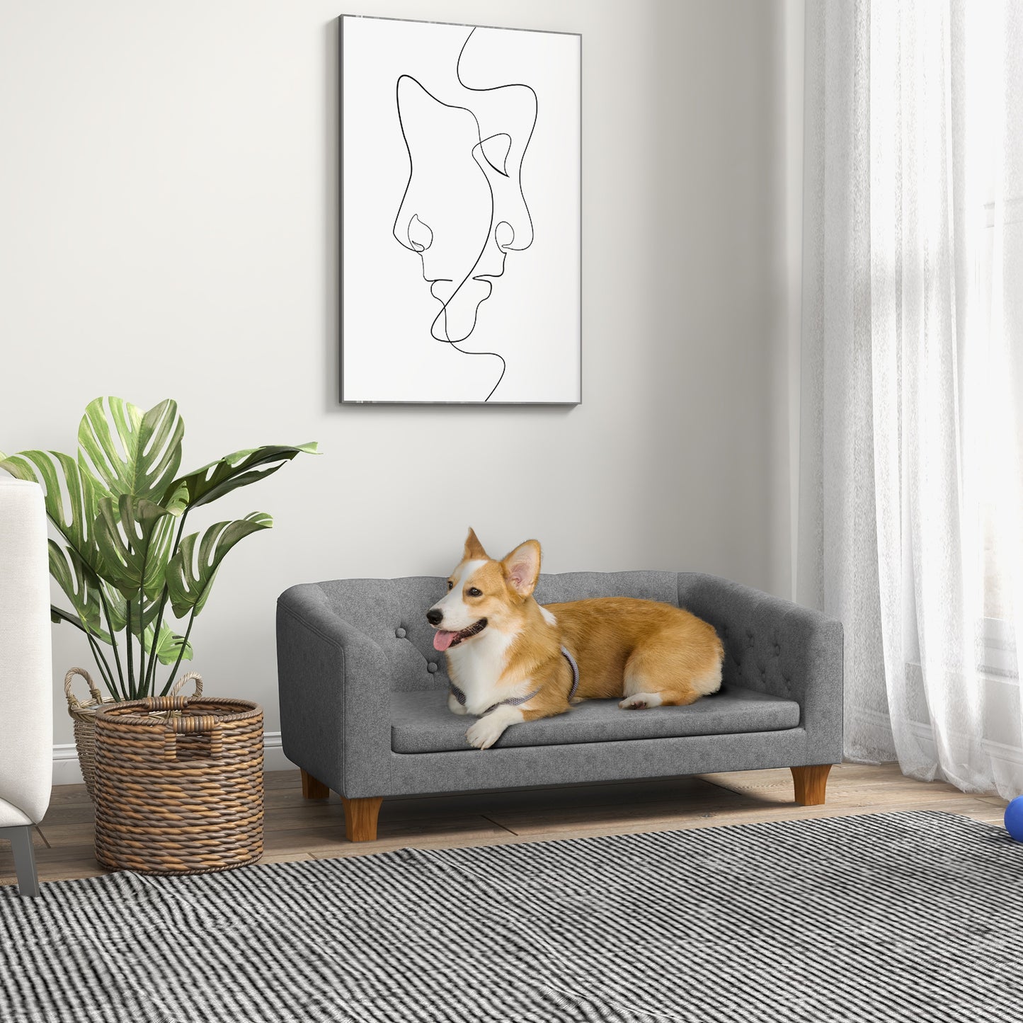 Pet Sofa