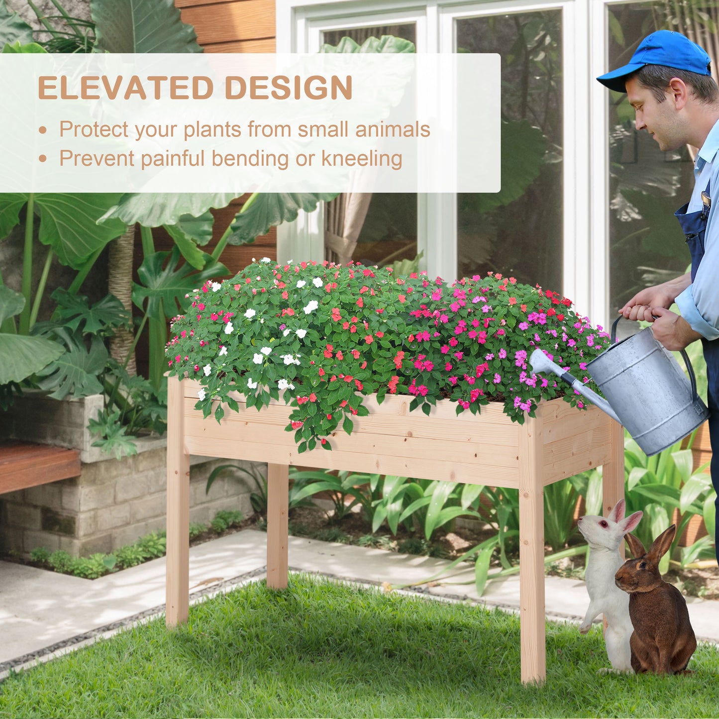 Raised Planter