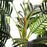 150cm(5ft)  Artificial Palm Tree Decorative Indoor Faux Green Plant w/Leaves Home Décor Tropical Potted Home Office