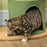 Cactus Cat Tree 83cm Cat Climbing Tower Kitten Activity Centre w/ Cat House, Bed, Sisal Scratching Post, Hanging Toy Ball - Green