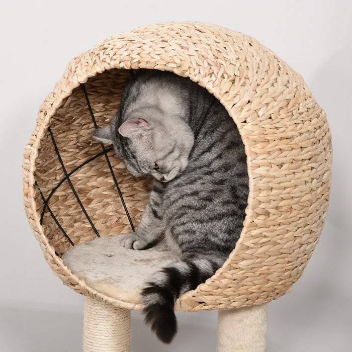 Cat Tree for Indoor Cats 100cm Kitten Climbing Tower Activity Center with Sisal Scratching Post Condo Perch Hanging Balls Teasing Rope Toy Cushion