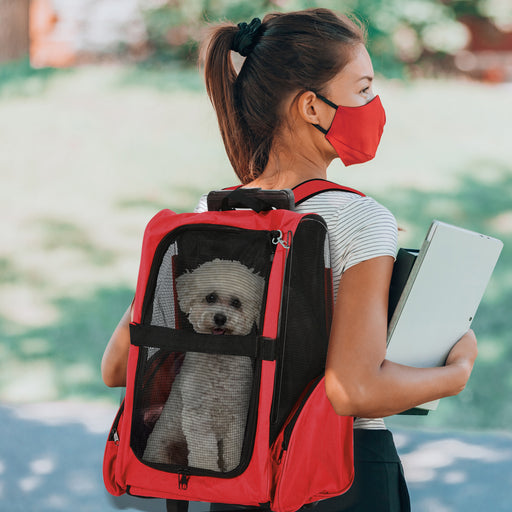 Pet Carrier Bag