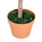 3ft Artificial Olive Tree Indoor Plant Greenary for Home Office Potted in An Orange Pot