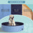 Pet Swimming Pool - Non-slip foldable dog pool that sets up in minutes