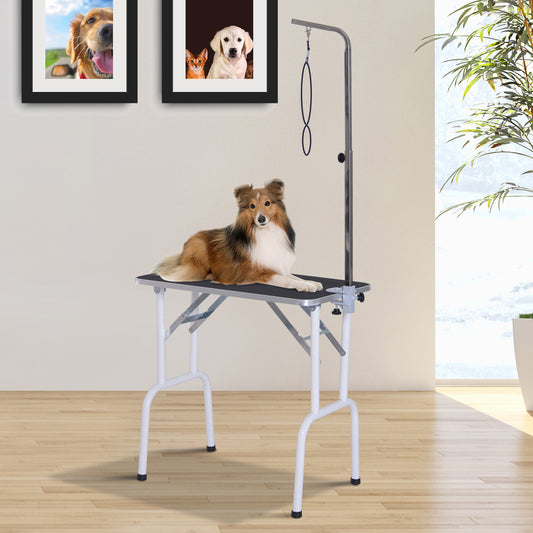 Pet Grooming Table