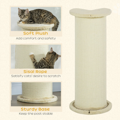 Cat Scratching Post